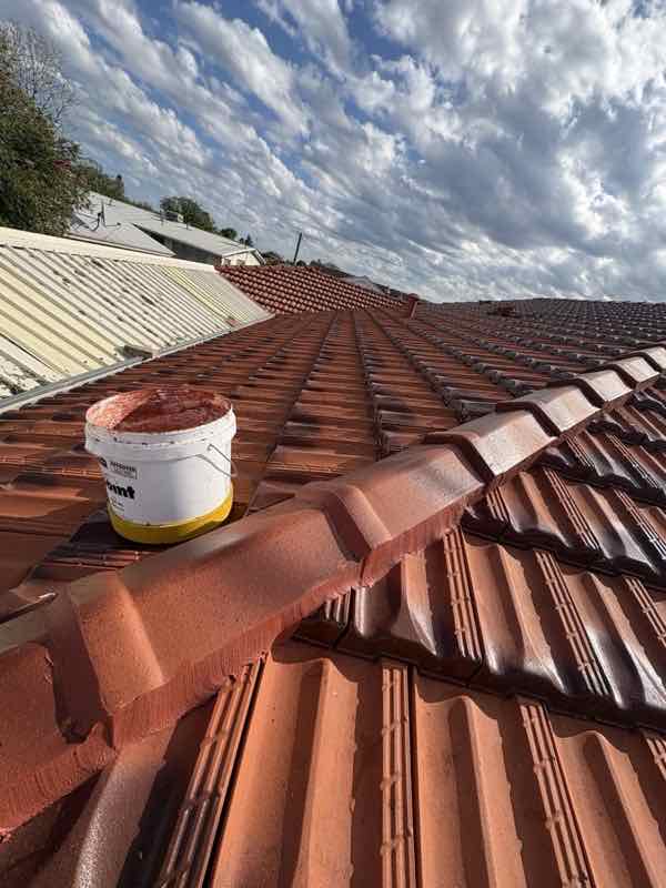 Ridges rebedded and repointed